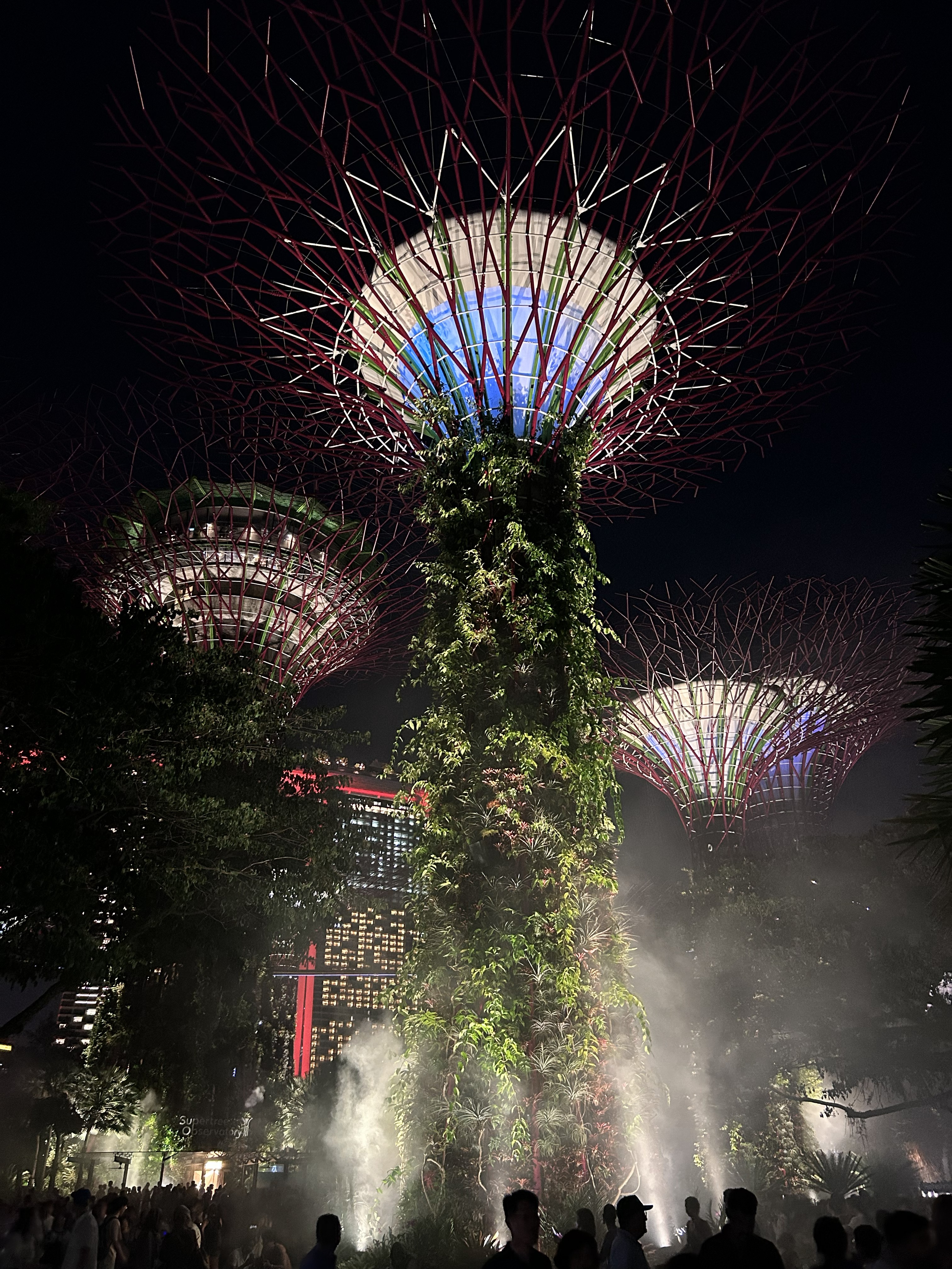 The Singapore Nexus: Sovereignty as a Service
